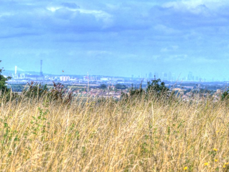 P1030562_Painterly 2.jpg