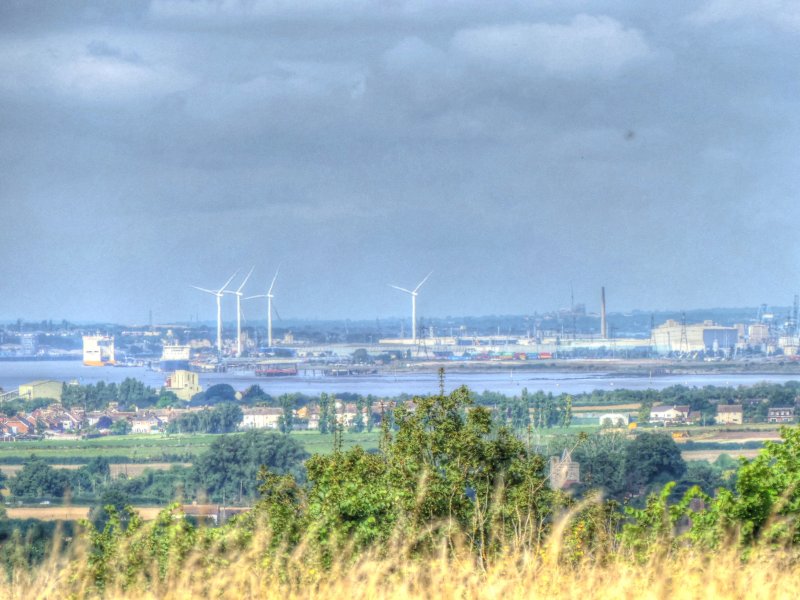 P1030565_Painterly 2.jpg