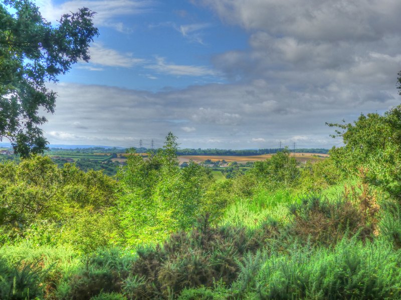 P1030570_Painterly 2.jpg