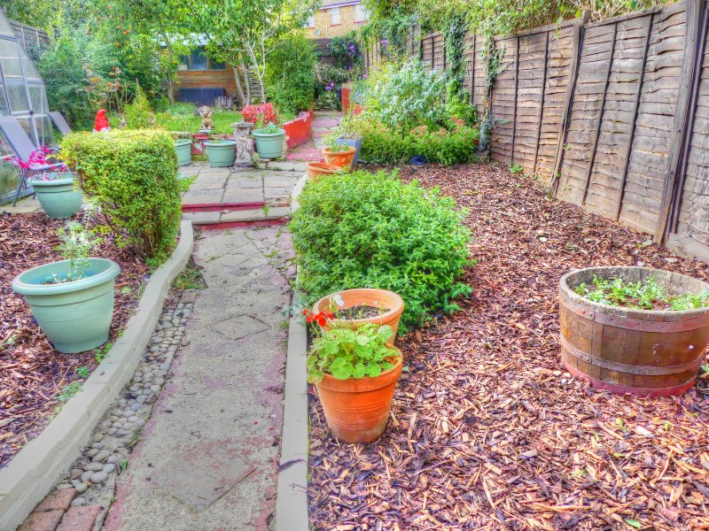 P1030919_Painterly 3.jpg