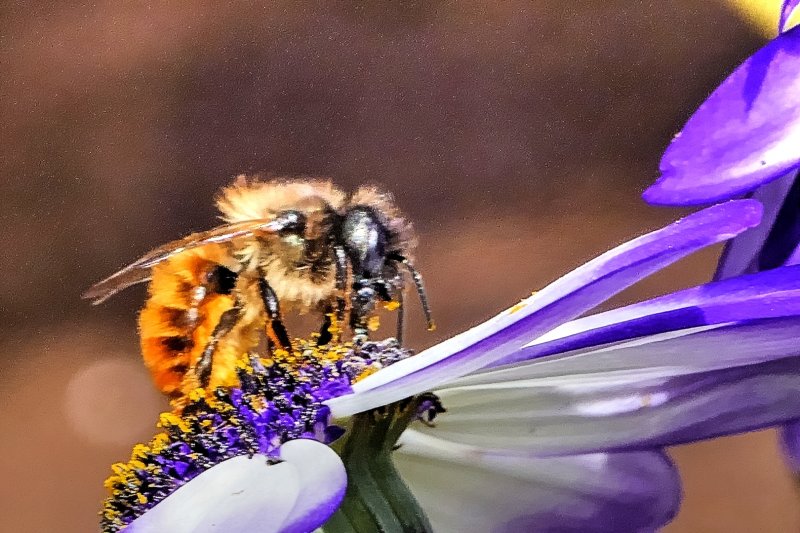 P1040053_zpsyvttpo2j - Copy_Balanced.jpg