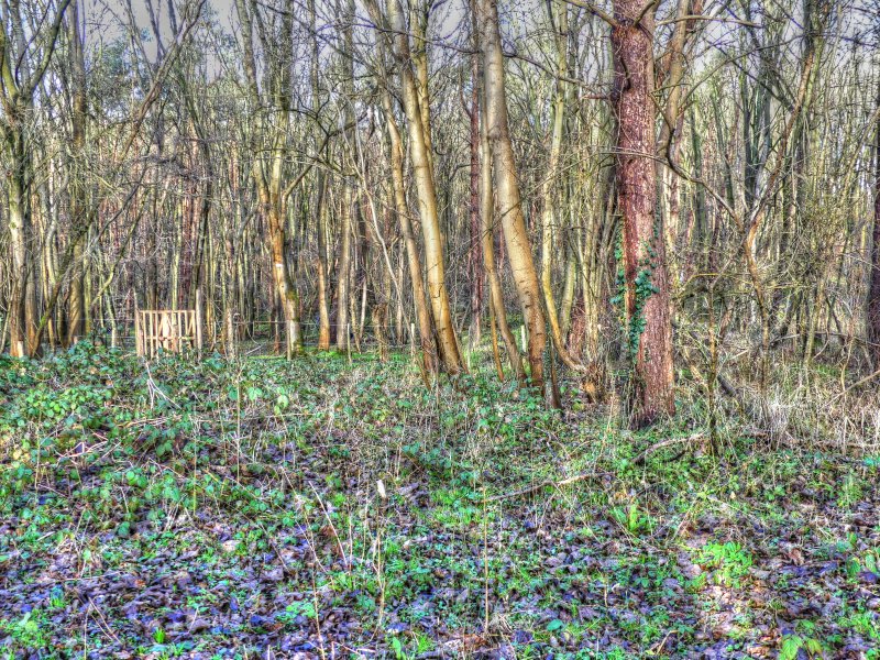 P1040242_Painterly 4.jpg