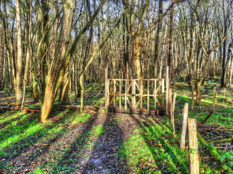 P1040244_Painterly 4.jpg