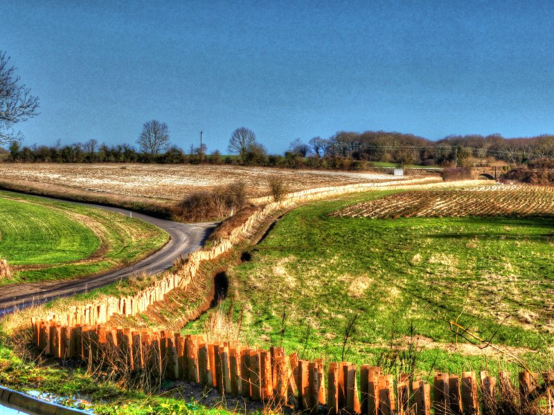 P1040283_Painterly 4.jpg