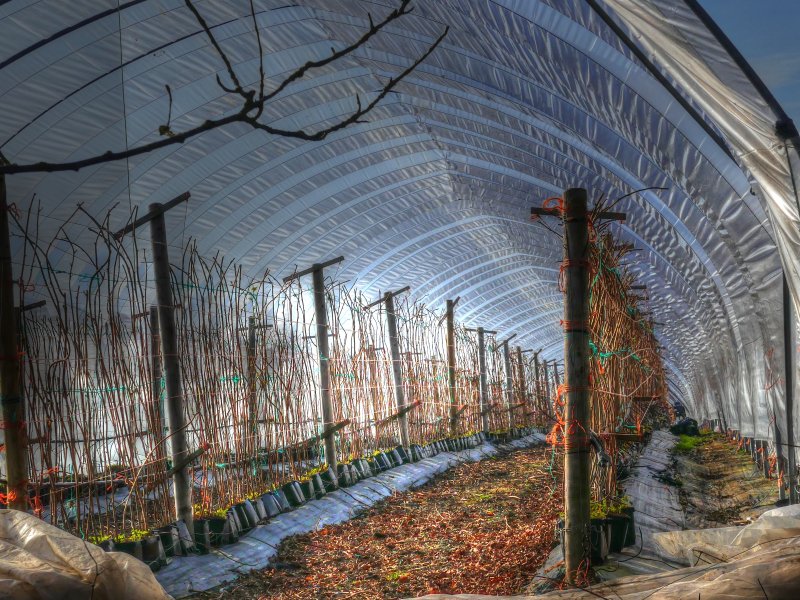 P1040305_Painterly 2.jpg