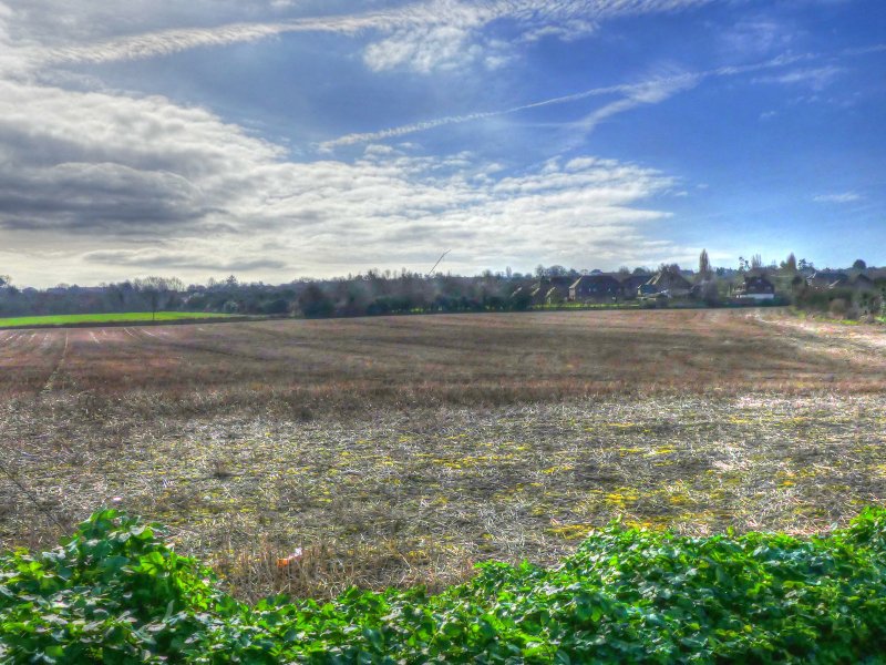 P1040306_Painterly 2.jpg