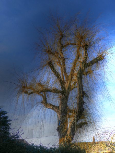 P1040307_Painterly 2.jpg