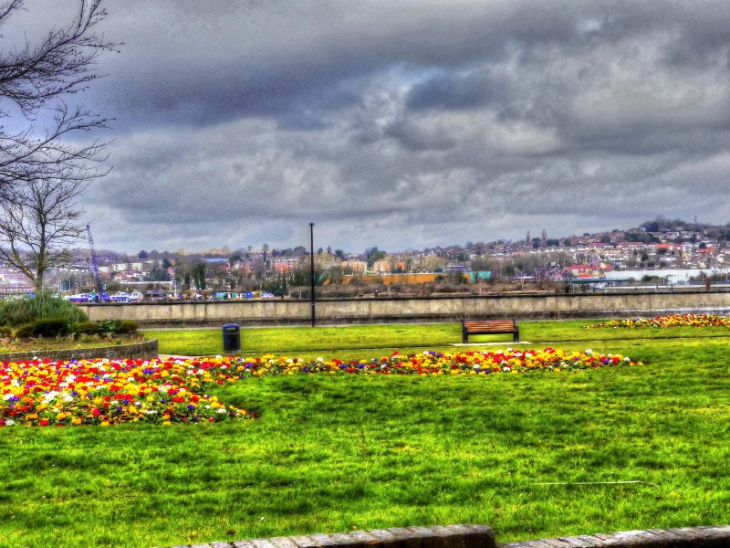 P1040362_Painterly 4.jpg