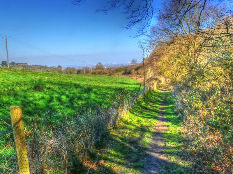 P1040442_Painterly 2.jpg