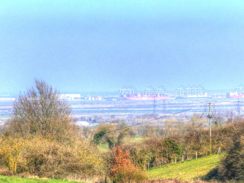 P1040443_Painterly 2.jpg