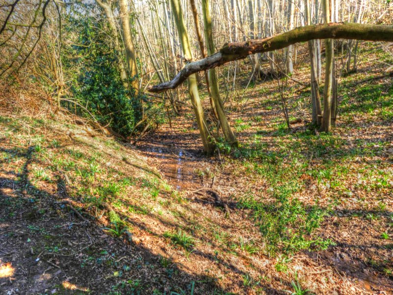 P1040449_Painterly 2.jpg