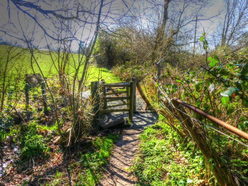 P1040451_Painterly 2.jpg