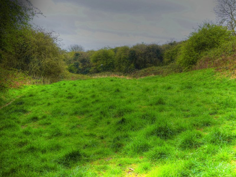 P1040644_Painterly 2.jpg