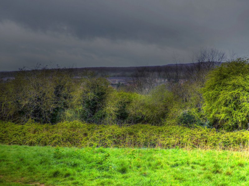 P1040648_Painterly 2.jpg