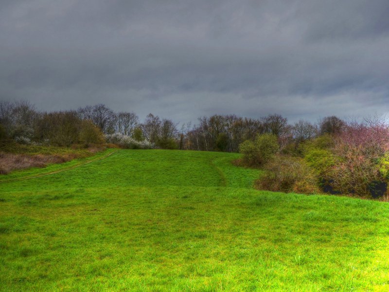 P1040651_Painterly 2.jpg