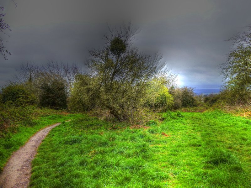 P1040652_Painterly 2.jpg