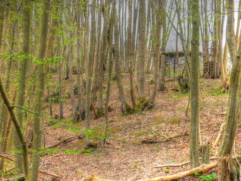 P1040670_Painterly 2.jpg