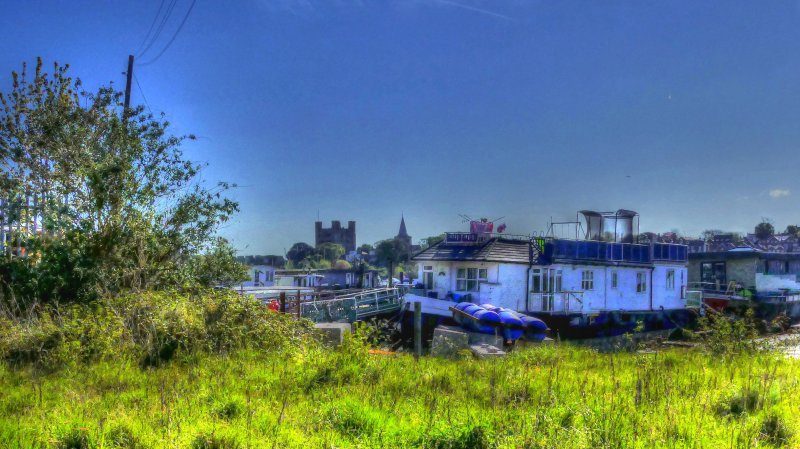 P1050033_Painterly 2.jpg