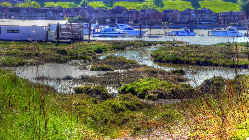 P1050034_Painterly 2.jpg