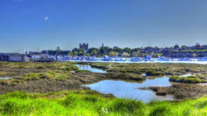 P1050036_Painterly 2.jpg