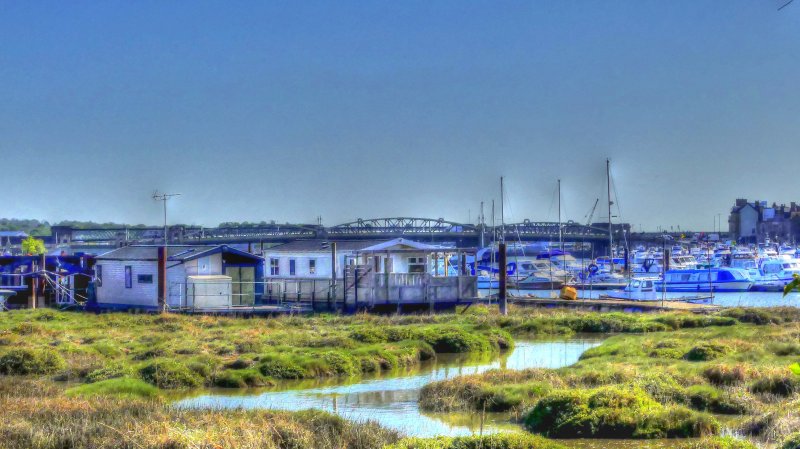 P1050037_Painterly 2.jpg