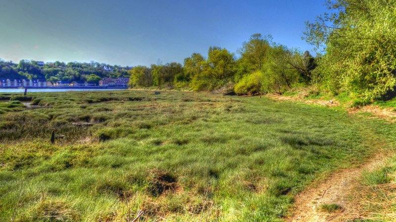 P1050039_Painterly 2.jpg