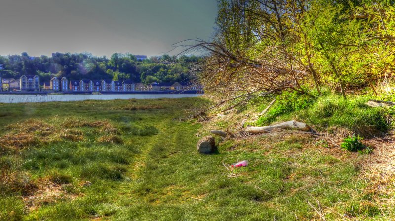 P1050041_Painterly 2.jpg