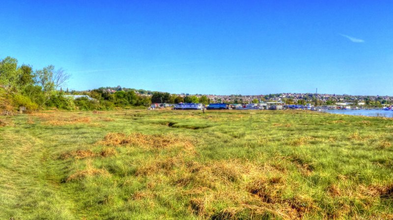 P1050042_Painterly 2.jpg