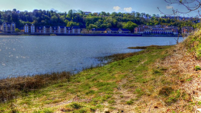 P1050043_Painterly 2.jpg