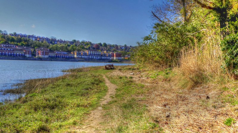 P1050044_Painterly 2.jpg