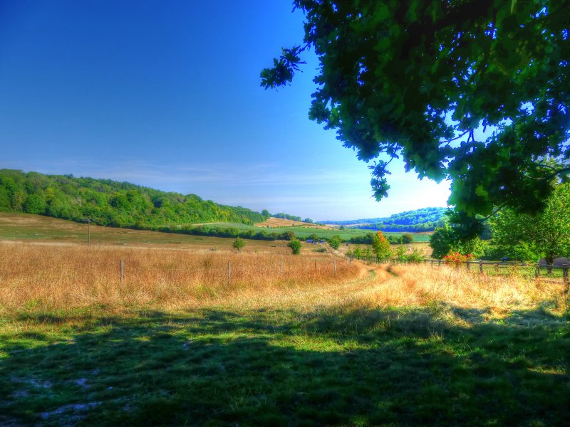 P1060272_Painterly 2.jpg