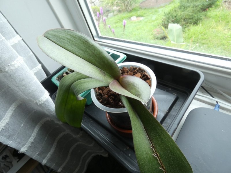 P1080182 - small.jpg