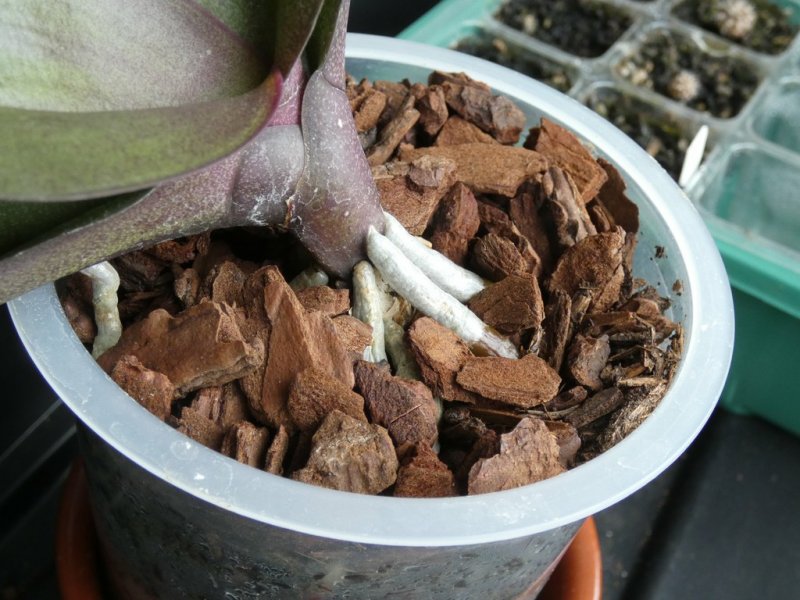 P1080186 - small.jpg