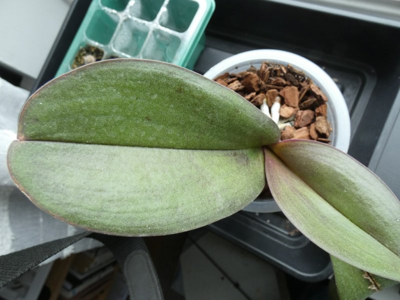 P1080200 - small.jpg