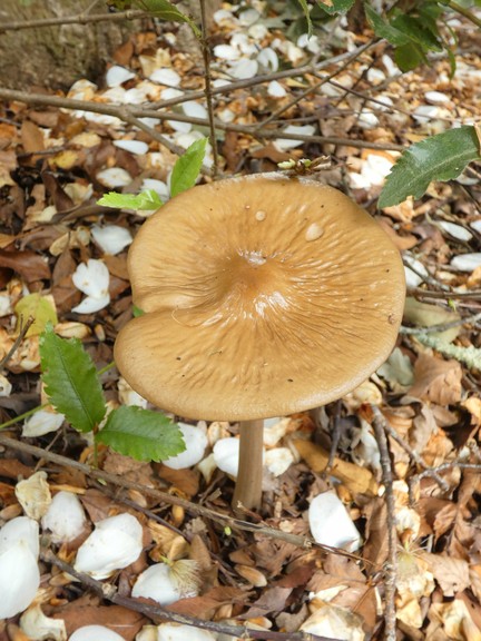 P1080846 - small.jpg