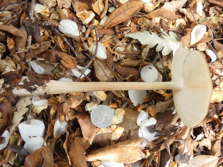 P1080860 - small.jpg