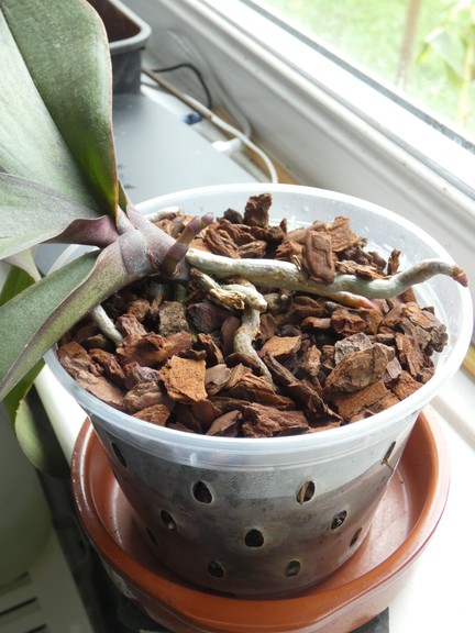 P1090767 - small.jpg