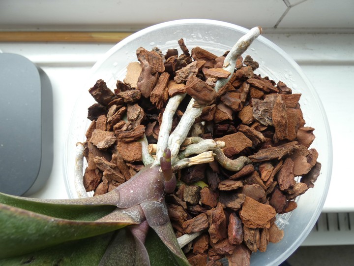 P1090772 - small.jpg