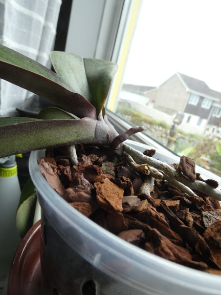 P1090777 - small.jpg