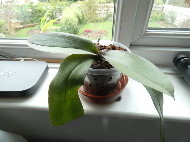 P1090782 - small.jpg