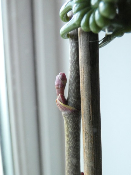 P1100863 - small.jpg