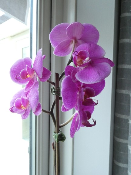 P1100873 - small.jpg