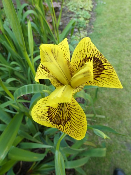 P1110238 - small.jpg