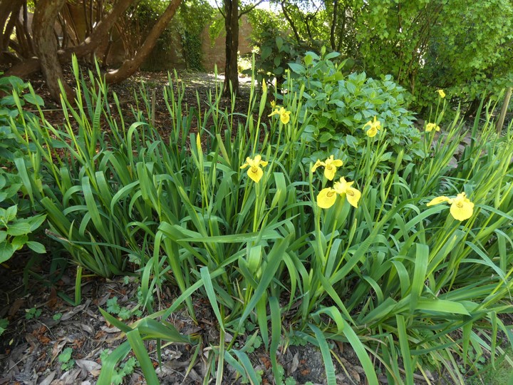 P1110241 - small.jpg