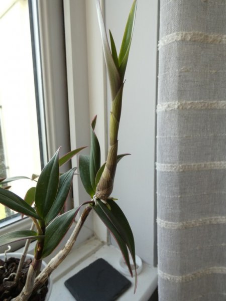 P1150405 - small.jpg