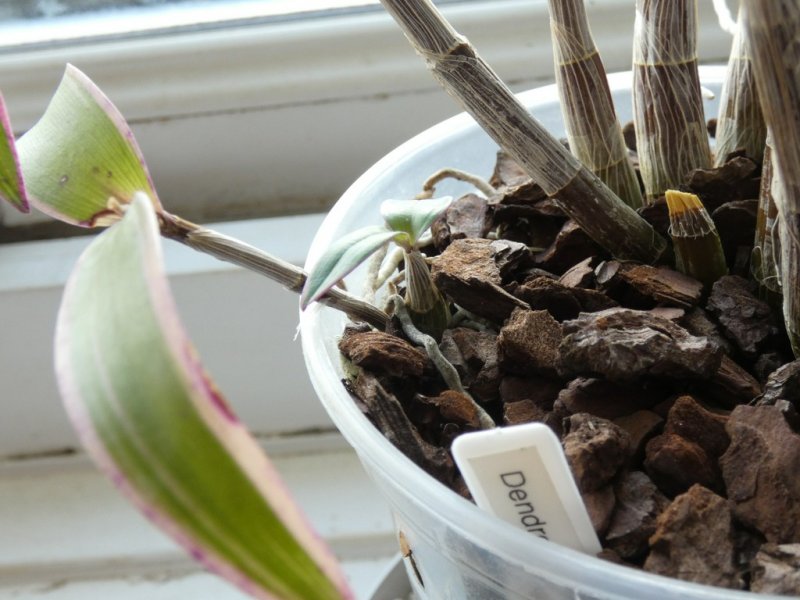 P1150415 - small.jpg