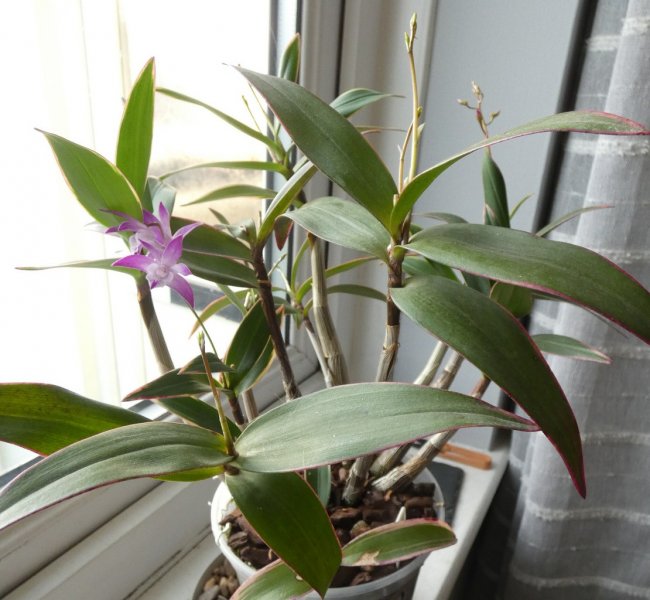 P1170032 - small.jpg