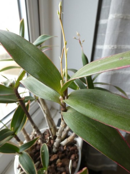 P1170036 - small.jpg