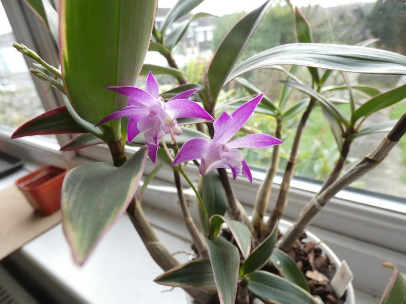 P1170042 - small.jpg