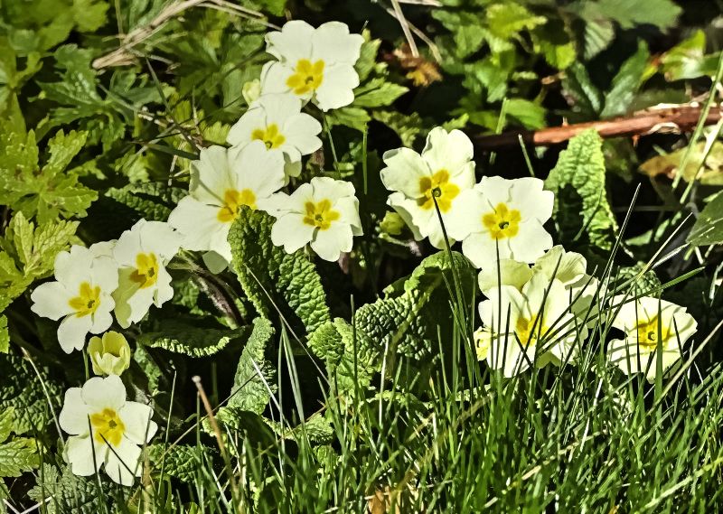 P1230766_Enhanced 2.jpg